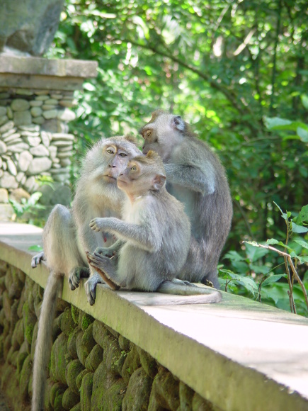 /exotika/!Bali/!Foto/Bali-03.jpg