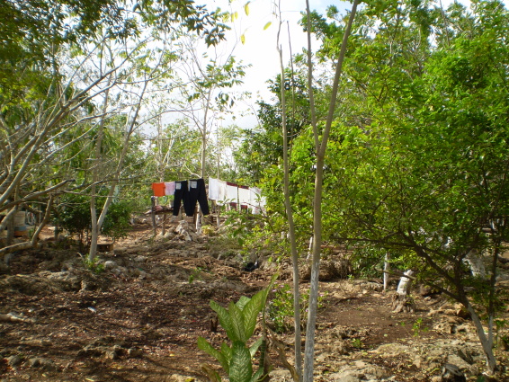 /exotika/!Mexiko/!Cancun-foto/Mexiko-32.JPG