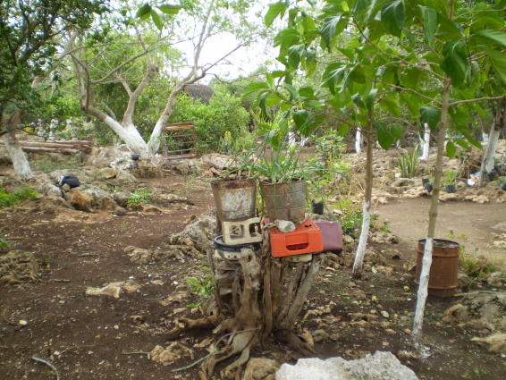 /exotika/!Mexiko/!Cancun-foto/Mexiko-34.JPG