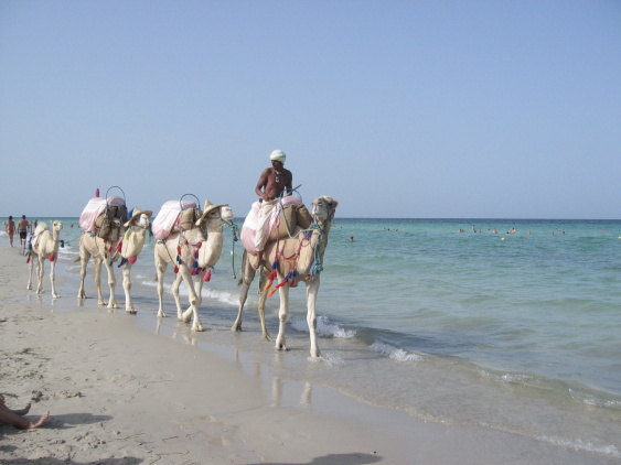 /exotika/!Tunisko/!Djerba/!Foto/Djerba-71.jpg